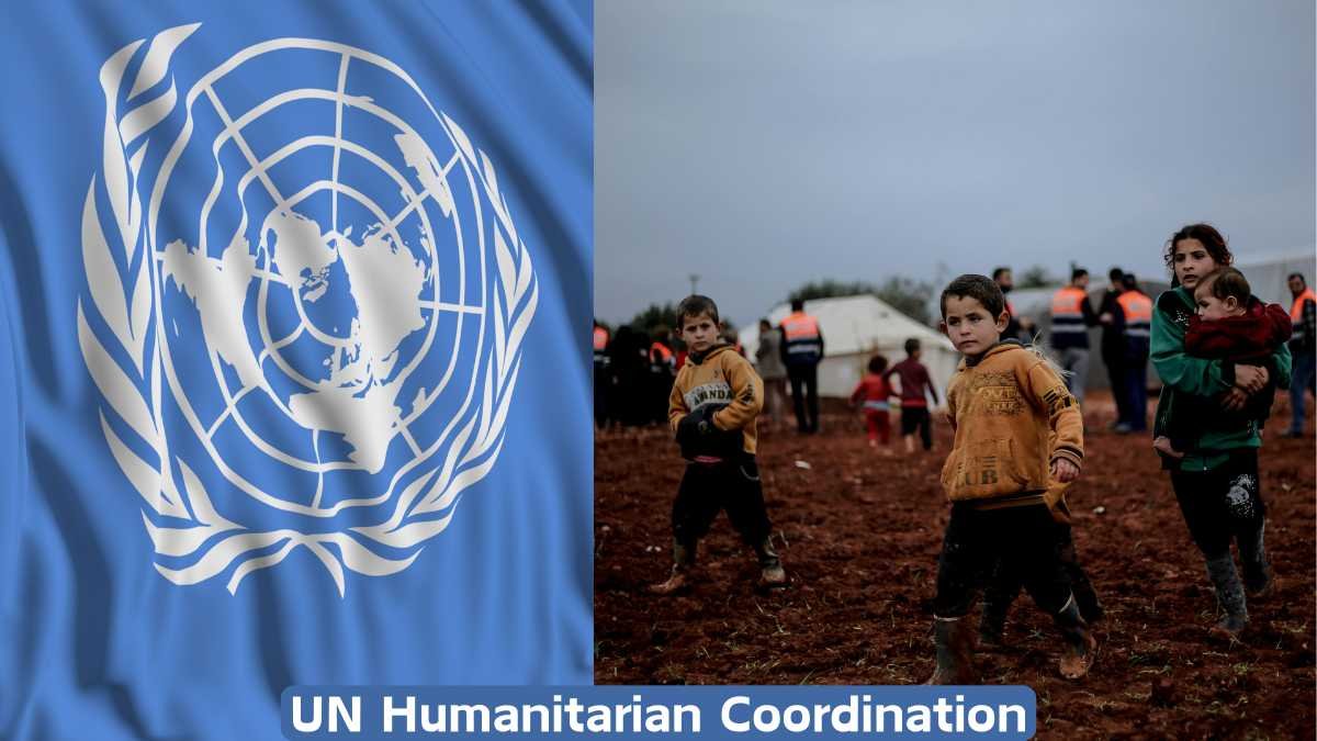 UN humanitarian coordination