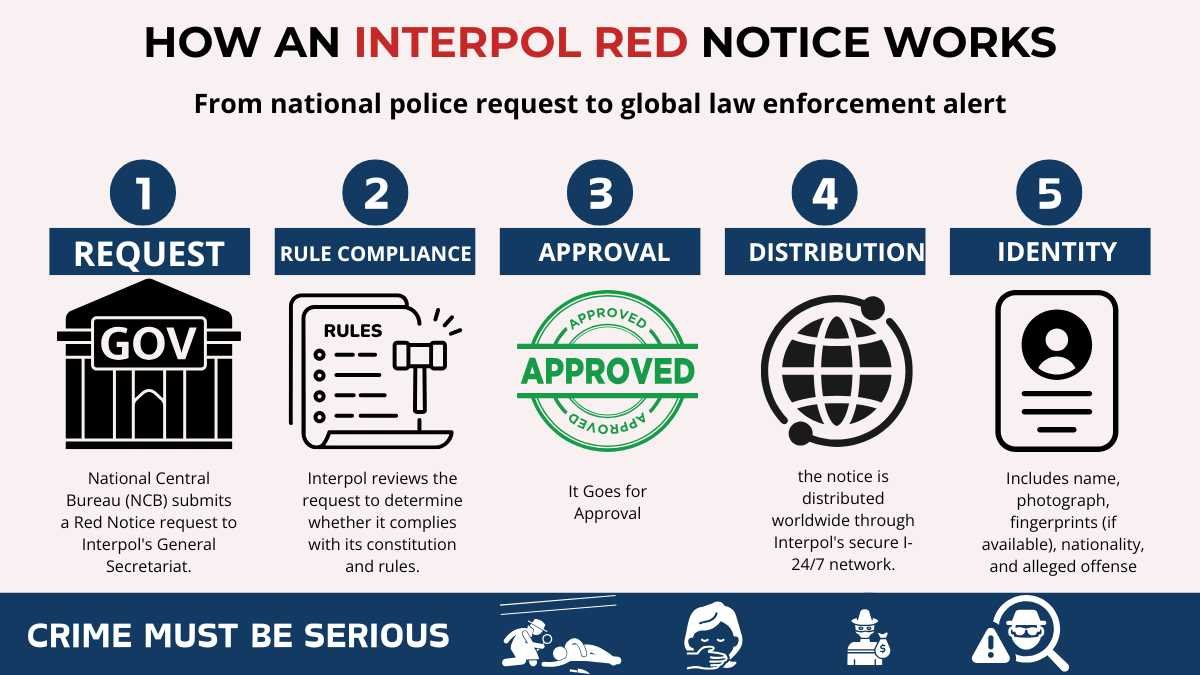 Infographic showing how an Interpol Red Notice works, including request submission, compliance review, approval, global distribution, identity details, and serious crime requirements