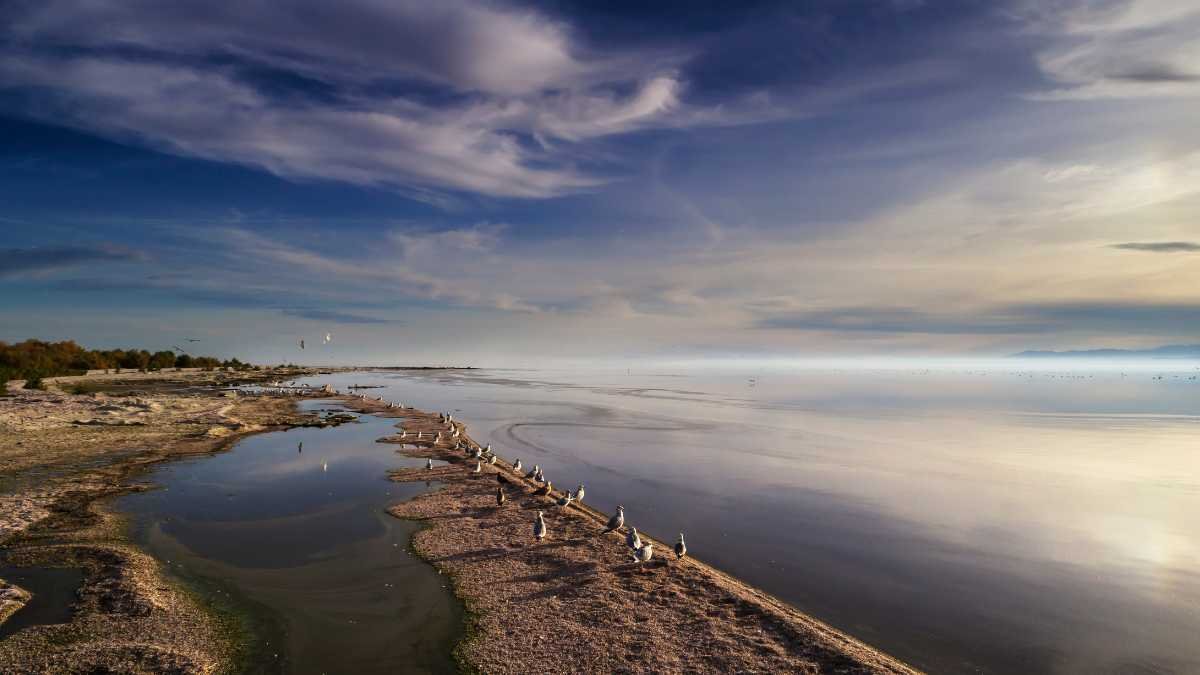 Shrinking lake shoreline