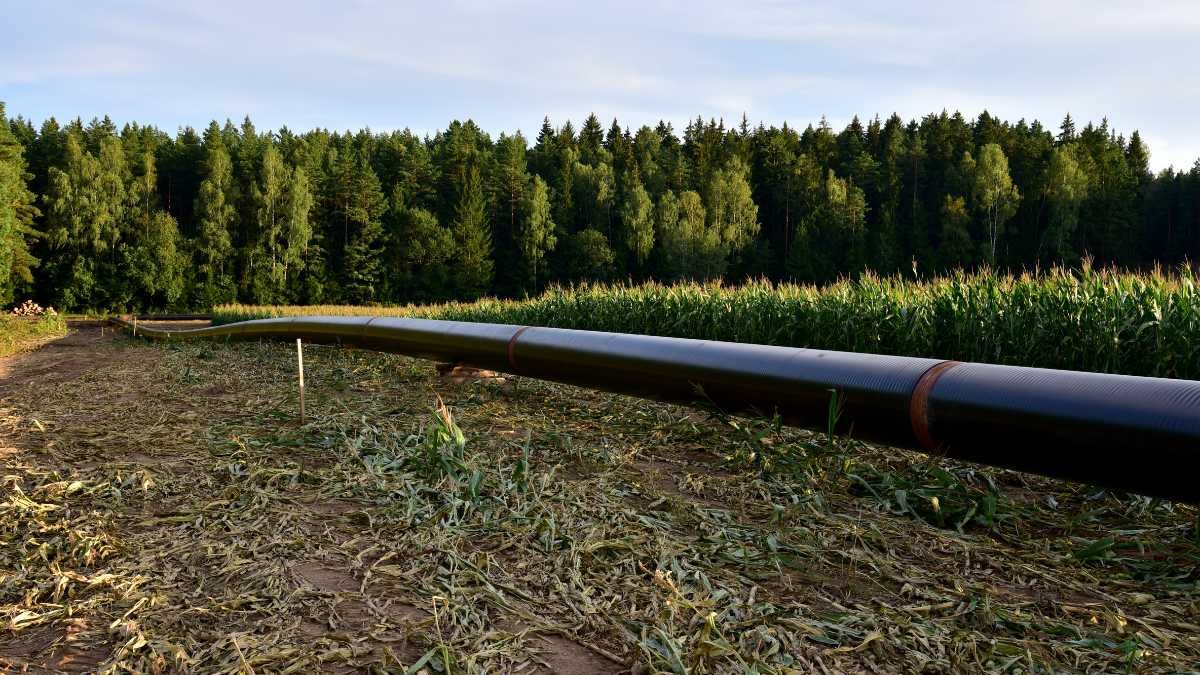 natural gas pipeline landscape
